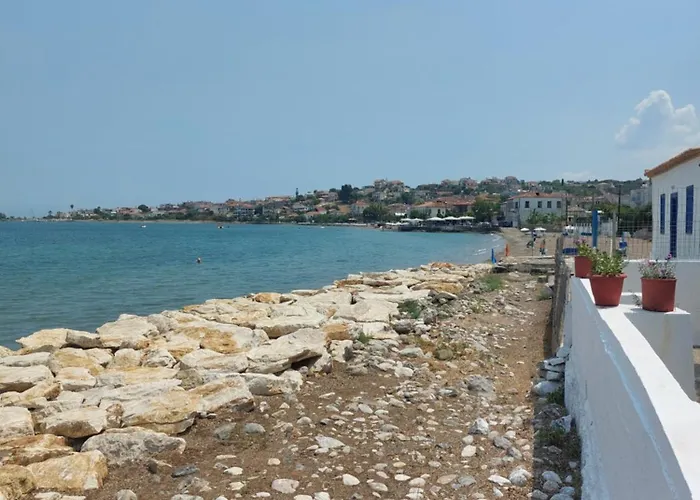 Seaview * Πεταλίδι