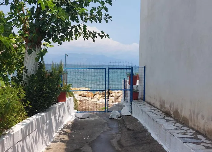 Διαμέρισμα Seaview Πεταλίδι